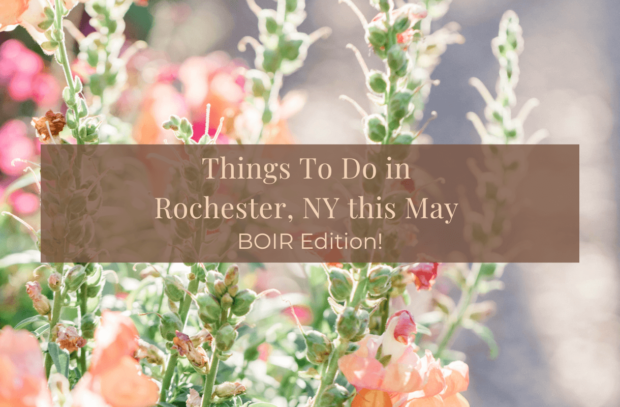 Things to do in Rochester ny this may boir edition