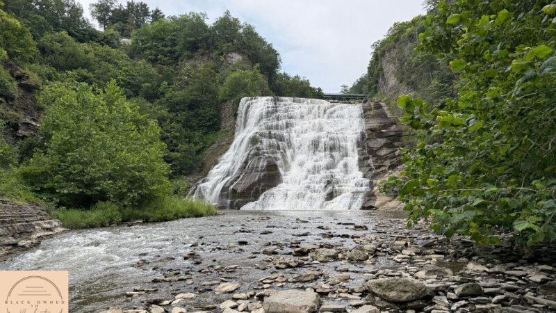 Things to do in rochester, ny this july | Black Owned in Rochester Business directory